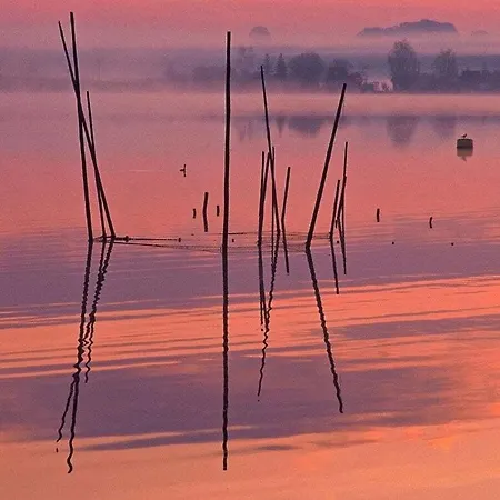 Fishing Luck In The Heart Of Plau Am Wifi * Plau am See